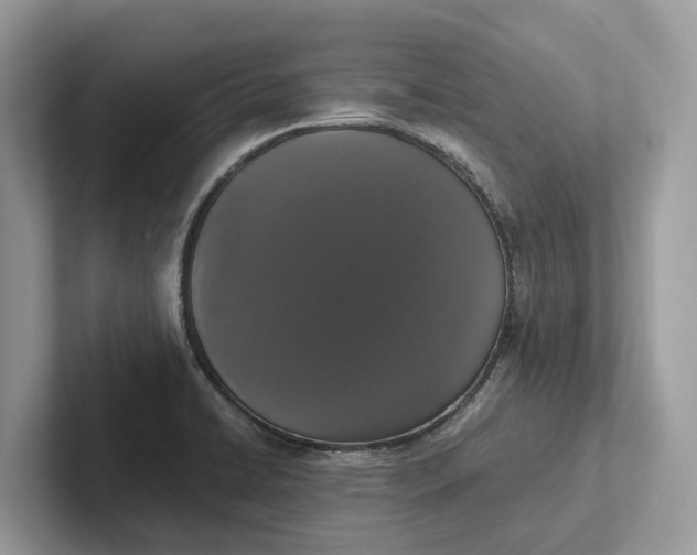X0000101461422200807211324