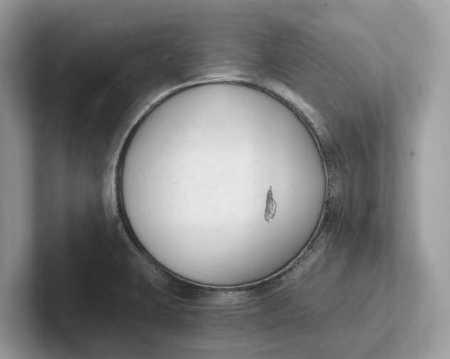 X0000101461423200807211324