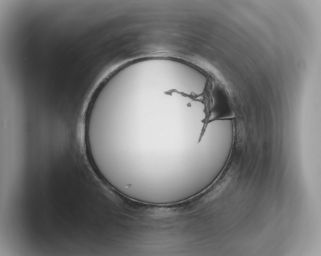 X0000101461424200807211324