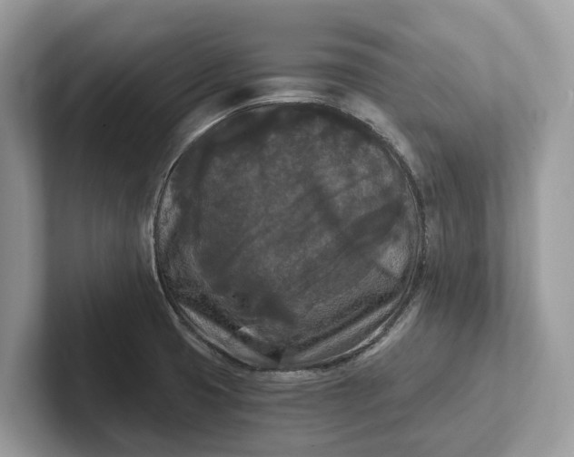 X0000101461425200807211324