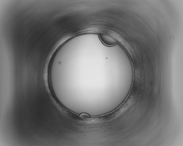 X0000101461426200807211324