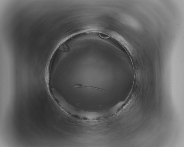 X0000101461428200807211324