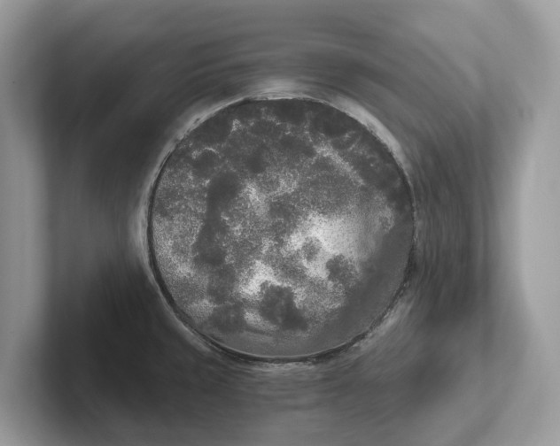 X0000101461429200807211324
