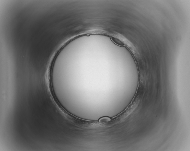 X0000101461430200807211324