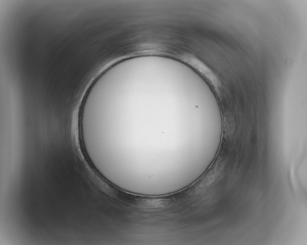 X0000101461431200807211324