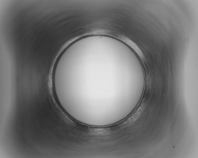 X0000101461436200807211324