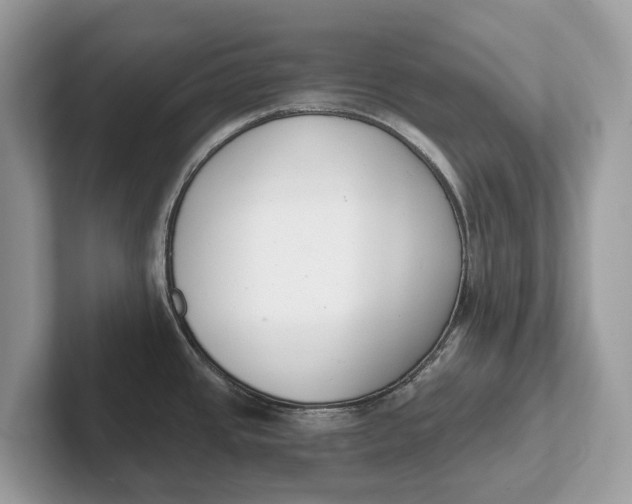 X0000101461437200807211324