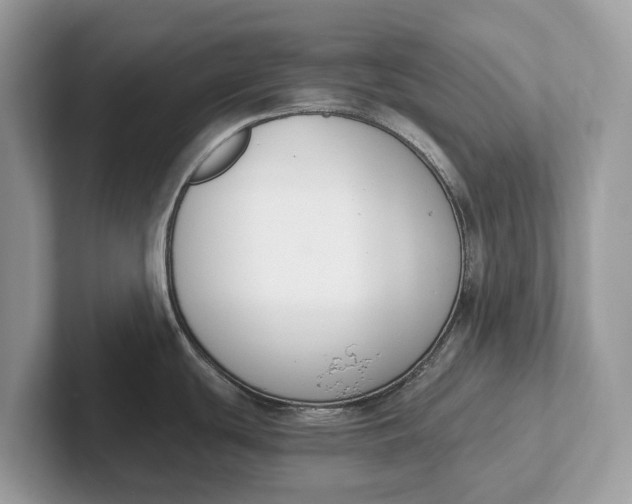 X0000101461439200807211324