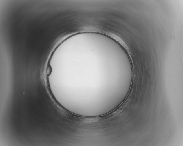 X0000101461440200807211324