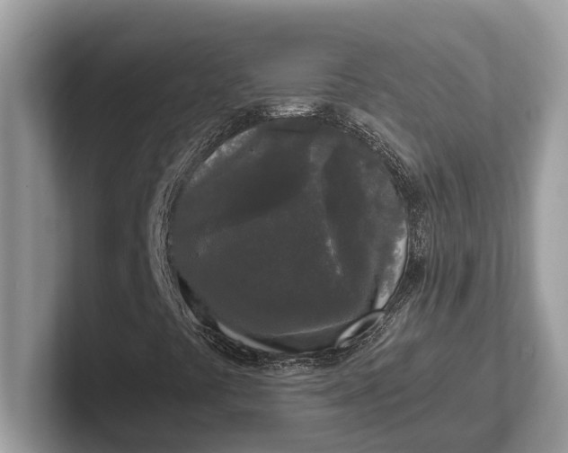 X0000101461441200807211323