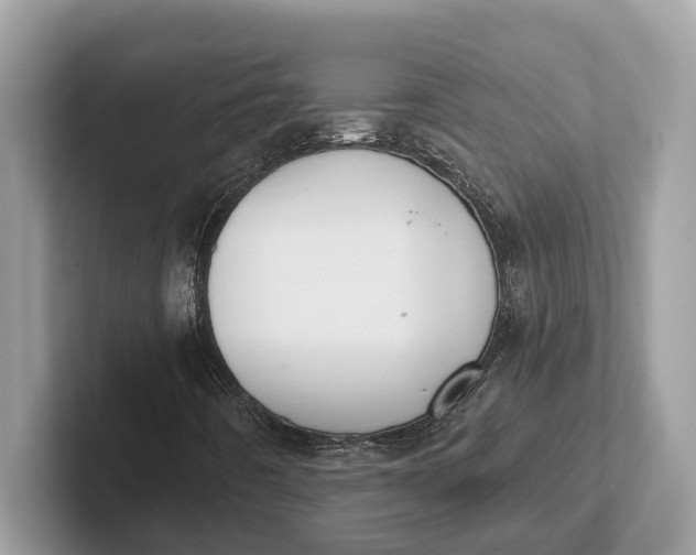 X0000101461442200807211323