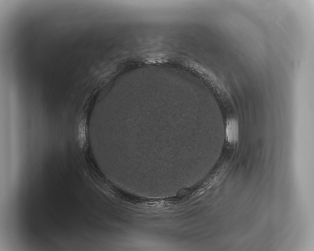 X0000101461444200807211323