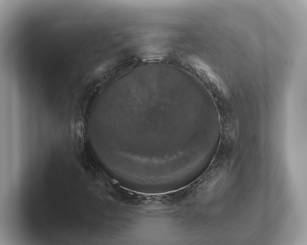 X0000101461445200807211323