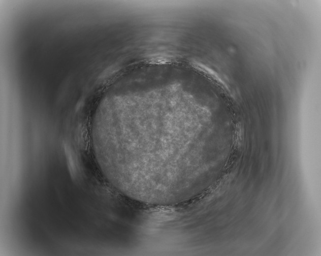 X0000101461446200807211323