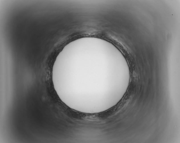 X0000101461447200807211323