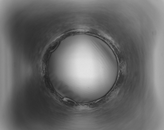X0000101461448200807211323