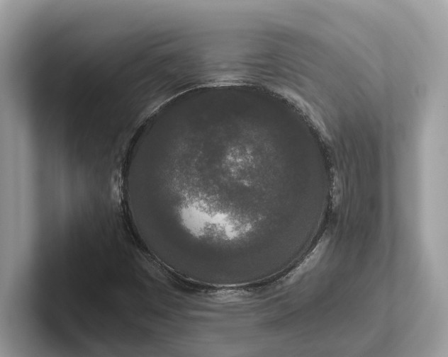 X0000101461449200807211323