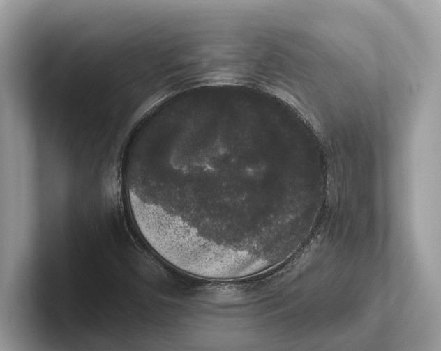 X0000101461450200807211323