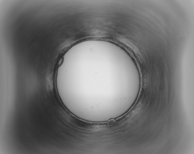 X0000101461451200807211323