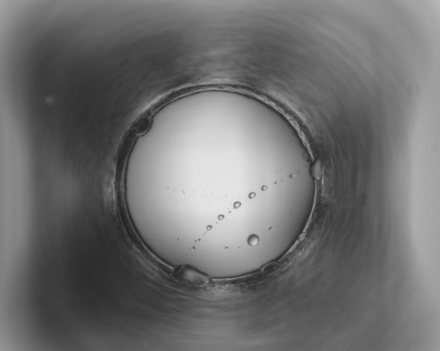 X0000101461452200807211323