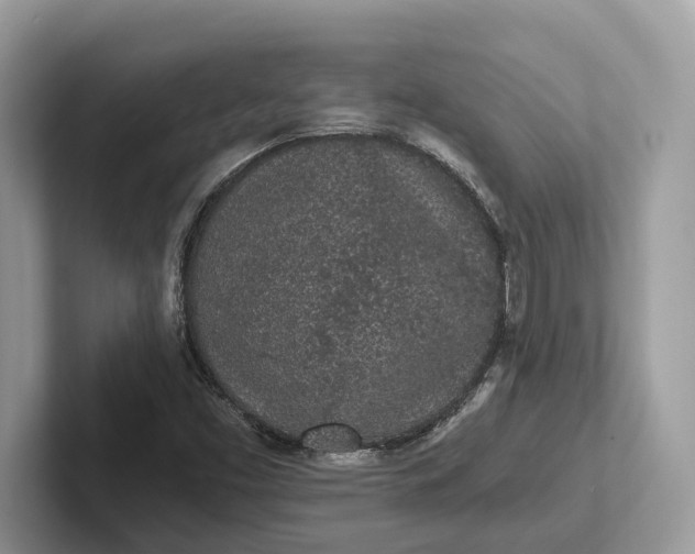 X0000101461453200807211323