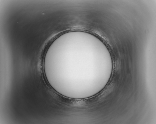 X0000101461454200807211323