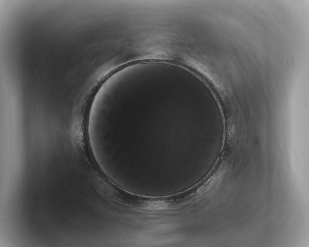 X0000101461455200807211323