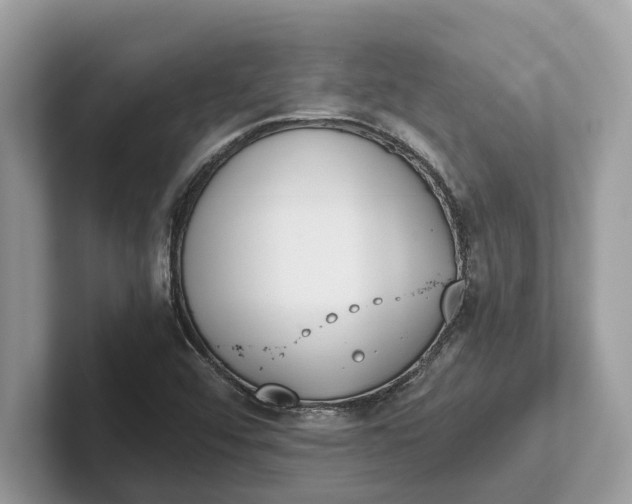 X0000101461456200807211323