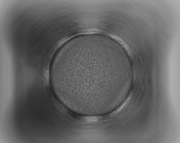 X0000101461457200807211323