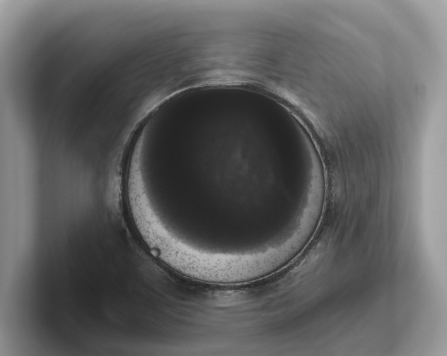 X0000101461459200807211323