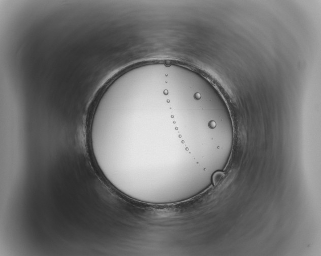 X0000101461460200807211323