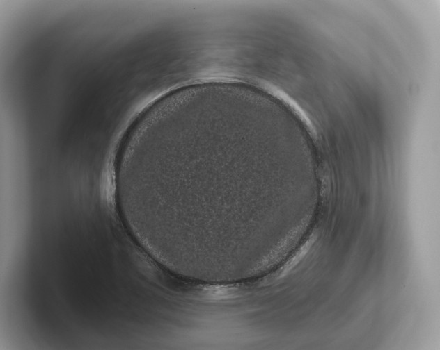 X0000101461461200807211323