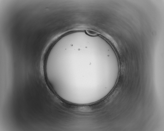 X0000101461464200807211323