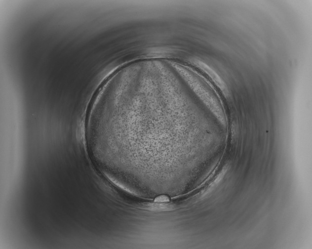 X0000101461465200807211323