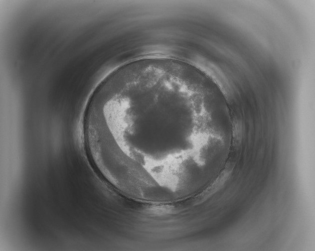 X0000101461466200807211323