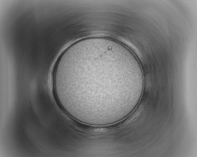 X0000101461467200807211323