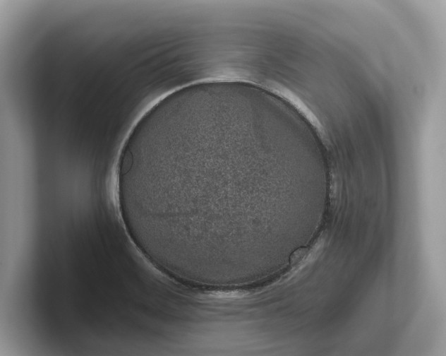 X0000101461468200807211323