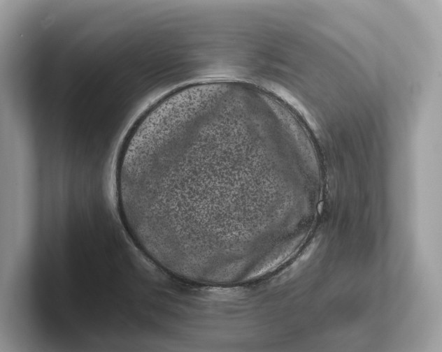 X0000101461469200807211323