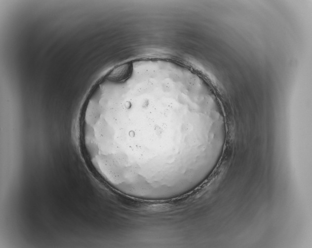 X0000101461471200807211323