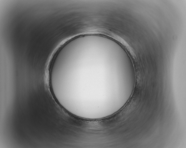 X0000101461472200807211323