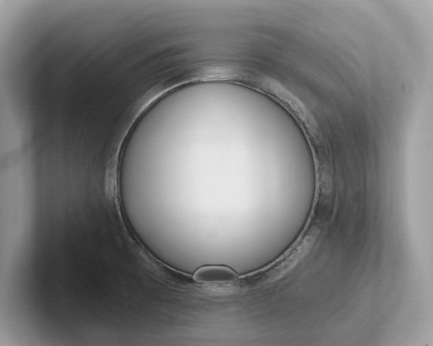 X0000101461473200807211323