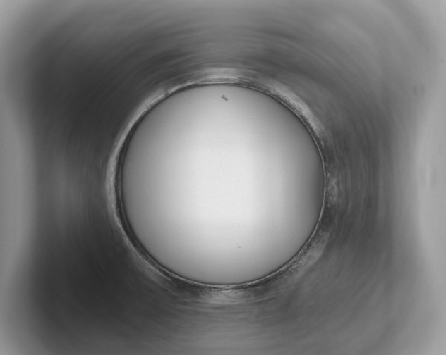 X0000101461475200807211323