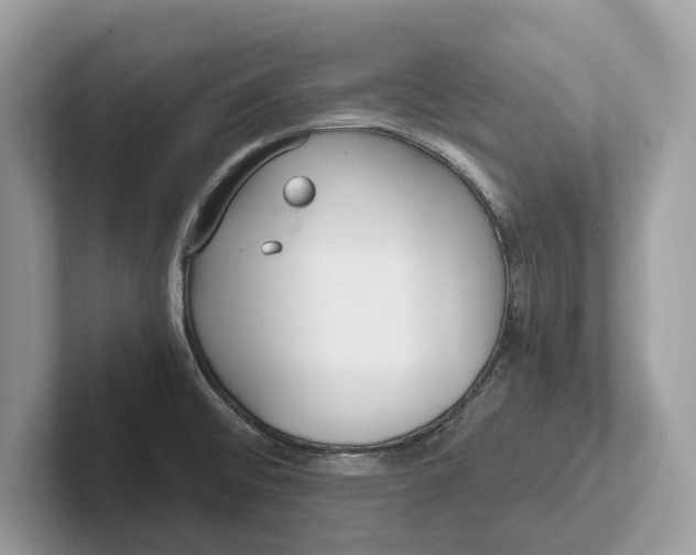 X0000101461476200807211323
