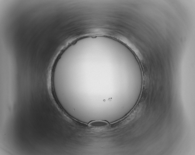 X0000101461477200807211323