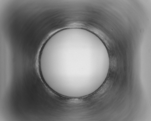 X0000101461478200807211323