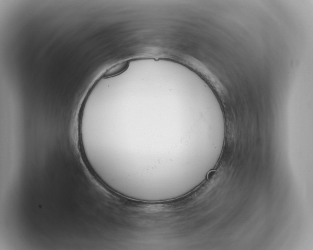 X0000101461479200807211323