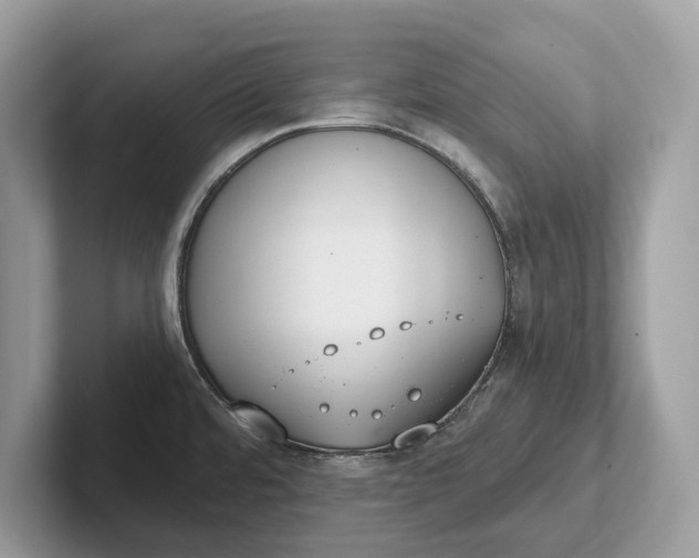 X0000101461480200807211323