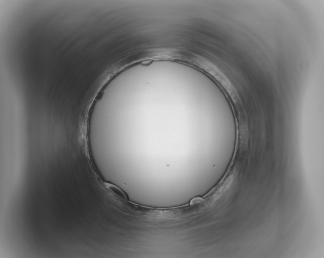 X0000101461481200807211323