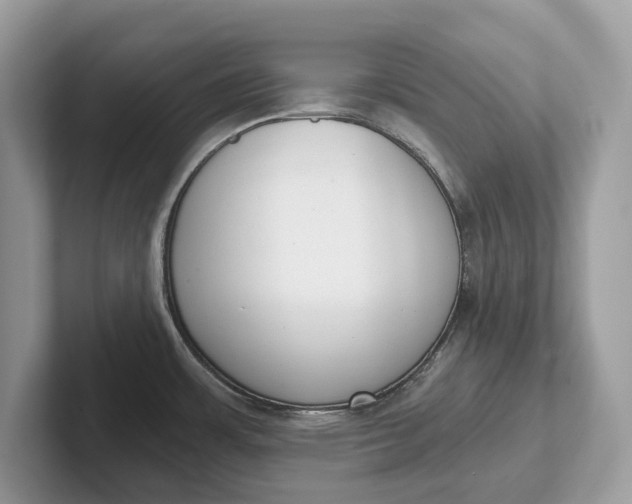 X0000101461483200807211323