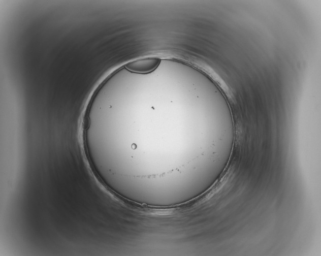 X0000101461484200807211323